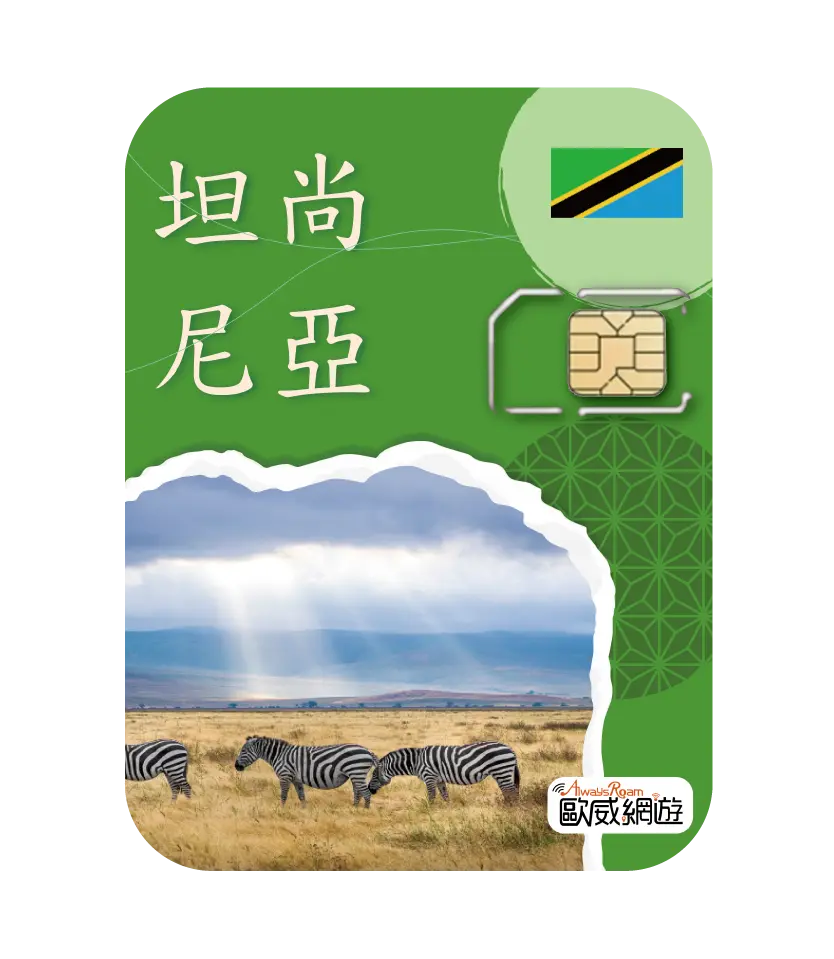 坦尚尼亞 09 工作區域 1